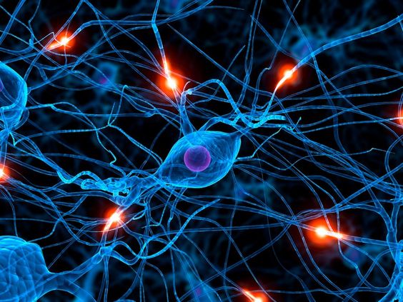 634163f34d3dcb851214081a6263bb58